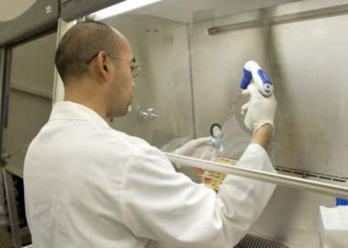 Biosecurity Scientist Using A Pipette In A Biosafety Cabinet. 93862492 Jose Gil