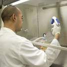 Biosecurity Scientist Using A Pipette In A Biosafety Cabinet. 93862492 Jose Gil