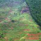 Habitat Conversion Aerial View Showing The Border Of The Bwindi Impenetrable Forest In Uganda (Africa) 86884465 Prill