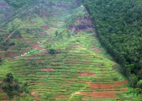 Habitat Conversion Aerial View Showing The Border Of The Bwindi Impenetrable Forest In Uganda (Africa) 86884465 Prill