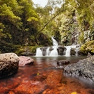 Natural Heritage World Heritage Area Lamington National Park Gondwana Land 106065263 Paintings