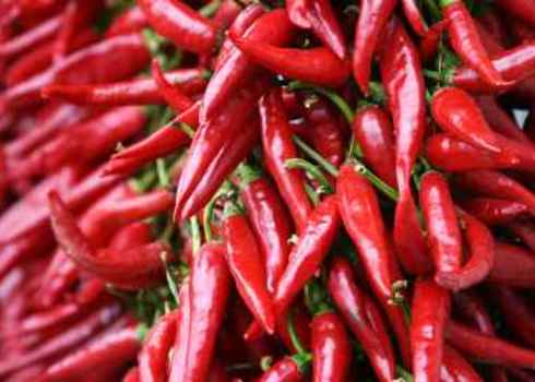 Provisioning Services Red Chilli Pepper Strings Hungary Frank Chang