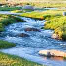 Riparian Summer Mountain Stream In Grassland Hunta