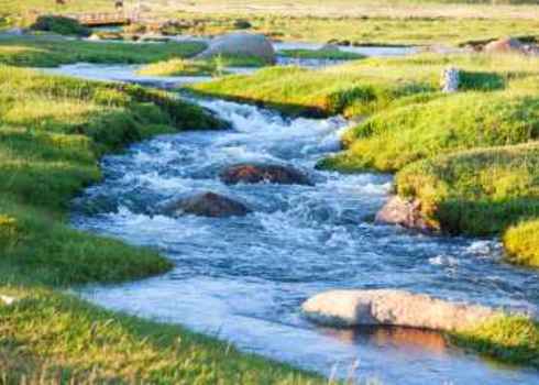 Riparian Summer Mountain Stream In Grassland Hunta