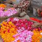 Subsistence Flower Seller India Dennis Albert Richardson