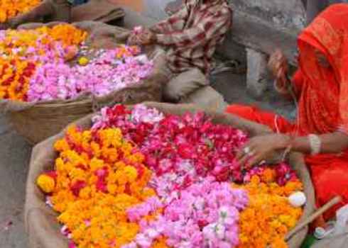 Subsistence Flower Seller India Dennis Albert Richardson