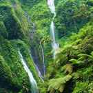 Hotspot Madakaripura Waterfall   Deep Forest Waterfall In East Java, Indonesia 140551585 James Jones Jr