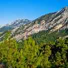 Crisis Ecoregion Rocks And Trees Of The Taurus Mountains Turkey 90692845 A Ix Yago