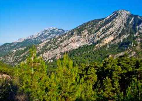 Crisis Ecoregion Rocks And Trees Of The Taurus Mountains Turkey 90692845 A Ix Yago