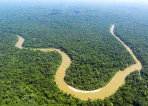 If Ls Dr. Morley Read The Cononaco River In The Ecuadorian Amazon From The Air