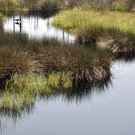 Bon Secour National Wildlife Refuge Alabama 55817833 Danny E Hooks