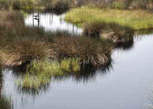 Bon Secour National Wildlife Refuge Alabama 55817833 Danny E Hooks