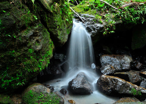 Az Esmall Water Falls El Yunque Rain Forest In Puerto Rico 90945872 Sahani Photography