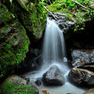 Az Esmall Water Falls El Yunque Rain Forest In Puerto Rico 90945872 Sahani Photography