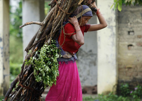 Renewable Resources Nepalese Lady Bearing Firewood (Editorial Use Only) Kathmadnu, Nepal Iv Nikolny