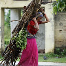 Renewable Resources Nepalese Lady Bearing Firewood (Editorial Use Only) Kathmadnu, Nepal Iv Nikolny