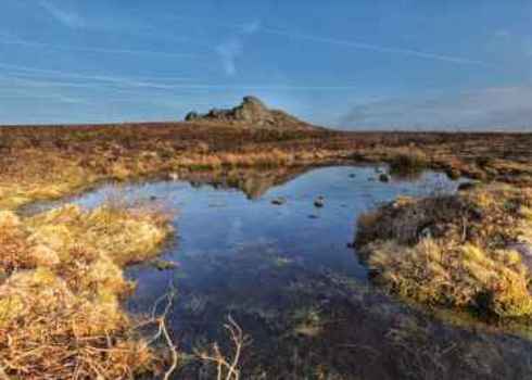 Ecosystem Wetlands At Haytor Dartmoor National Park, Devon, Uk Andy Fox Photography (Uk)