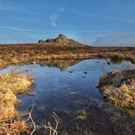 Ecosystem Wetlands At Haytor Dartmoor National Park, Devon, Uk Andy Fox Photography (Uk)