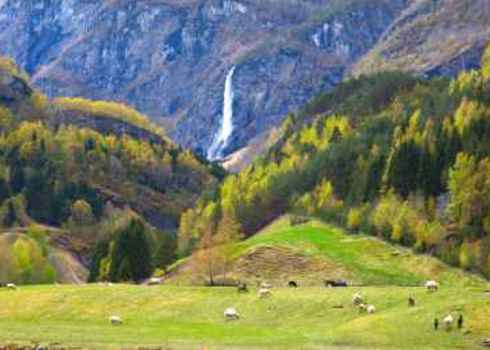 Landscape Connectivity Pasture With Sheep And Beautiful Waterfall Ozerov Alexander