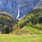 Landscape Connectivity Pasture With Sheep And Beautiful Waterfall Ozerov Alexander