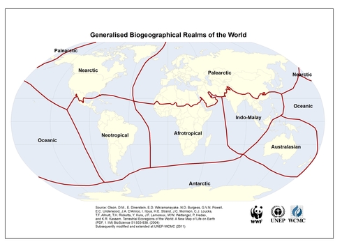 Biogeographical Realms Olson Et Al Unep Wcmc 2011