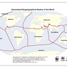 Biogeographical Realms Olson Et Al Unep Wcmc 2011