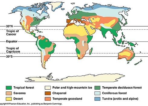 Biomes