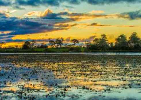 Ramsar Pantanal Brazil 141977947 Filipe Matos Frazao