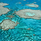 Mpa Great Barrier Reef Off The Coast Of Queensland Australia 131622320 Edward Haylan