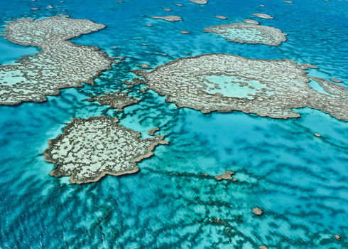 Mpa Great Barrier Reef Off The Coast Of Queensland Australia 131622320 Edward Haylan