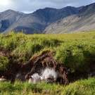 Carbon Sink Mountains And Permafrost 113205562 R. Vickers