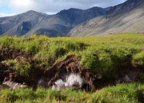 Carbon Sink Mountains And Permafrost 113205562 R. Vickers