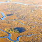 Estuary South Carolina Usa 98303210 John Wollwerth