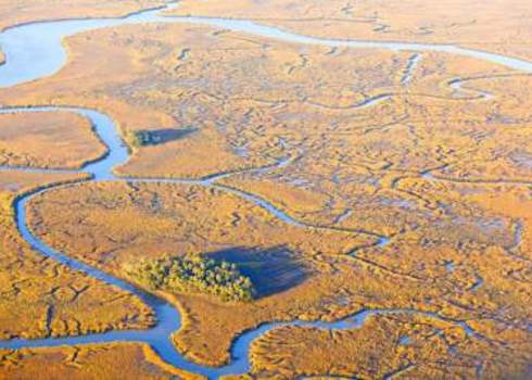 Estuary South Carolina Usa 98303210 John Wollwerth