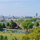 Green Infrastructure Greenwich Park London Nadiia Gerbish