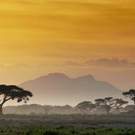 Intrinsic Value Sunset In Kenya Andrzej Kubik