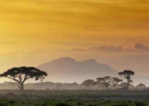 Intrinsic Value Sunset In Kenya Andrzej Kubik