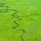 Naturalness Aerial View Of Lush Coastal Wetlands 104627507 Huyangshu