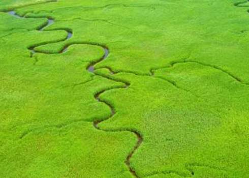 Naturalness Aerial View Of Lush Coastal Wetlands 104627507 Huyangshu