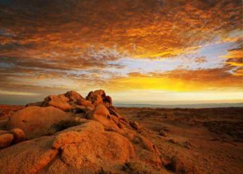 Wilderness Gobi Desert At Sunrise Galyna Andrushko