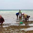 East Africa Zanzibar