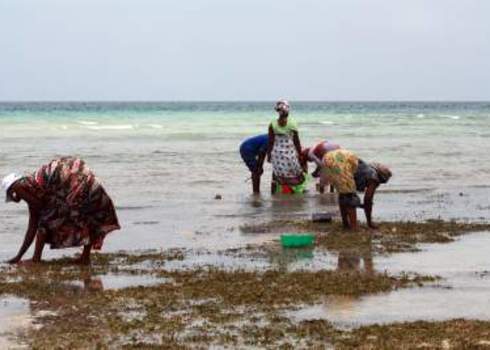 East Africa Zanzibar