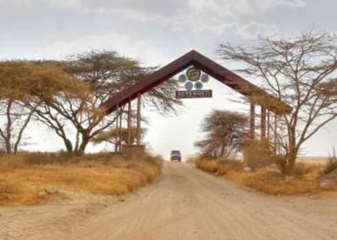 Protected Area Entrance Gate Serengeti National Park 148627094 Chantal De Bruijne