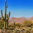 Downsizing Tonto National Forest, Arizona Jo Ann Snover