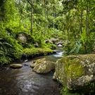 Cbd River Pakrisan Bali Indonesia Edmund Lowe Photography