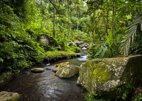 Cbd River Pakrisan Bali Indonesia Edmund Lowe Photography