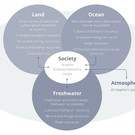 Tnfd Environmental Assets By Realm