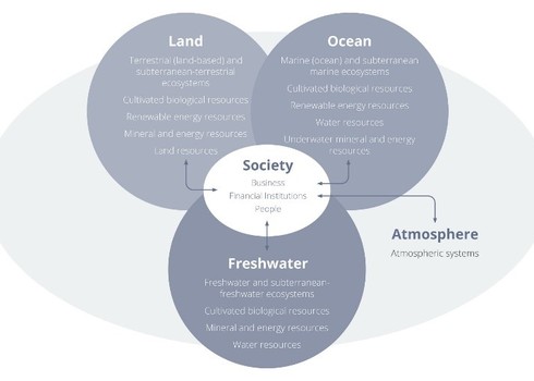 Tnfd Environmental Assets By Realm